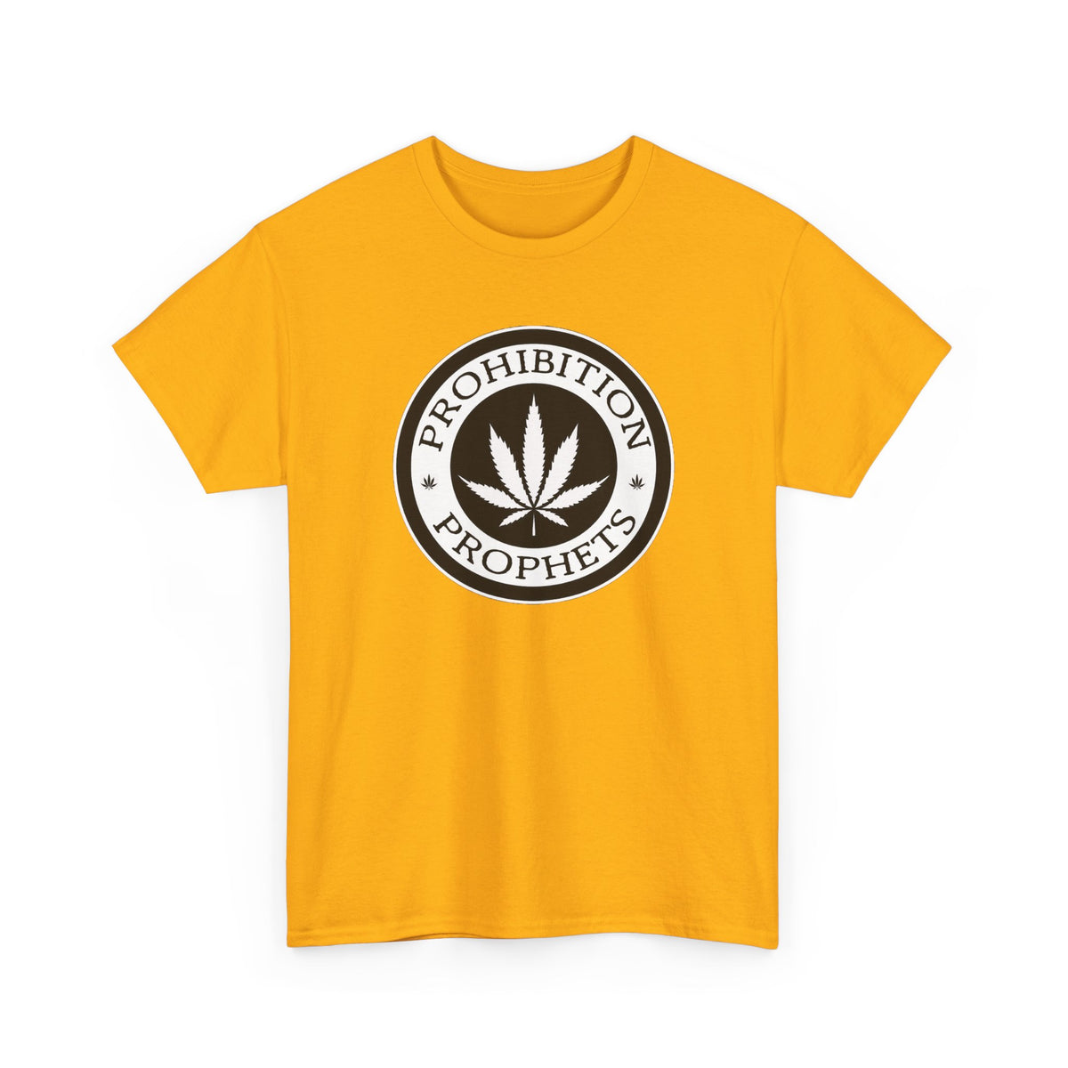 Unisex Heavy Cotton Outlaw (Clean) Tee